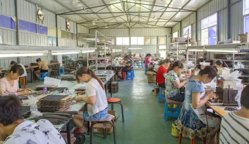 以产带迁 以业促搬 勉县移民安置社区产业就业联动发展促脱贫技术服务